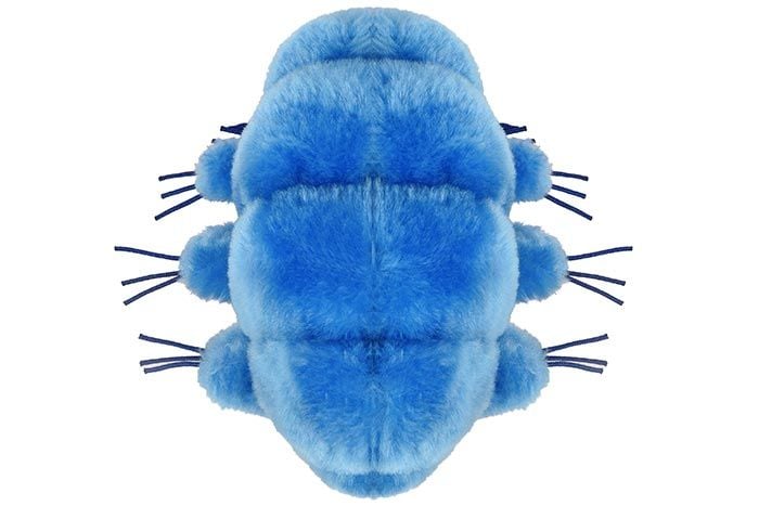 Giant Microbes - Waterbear