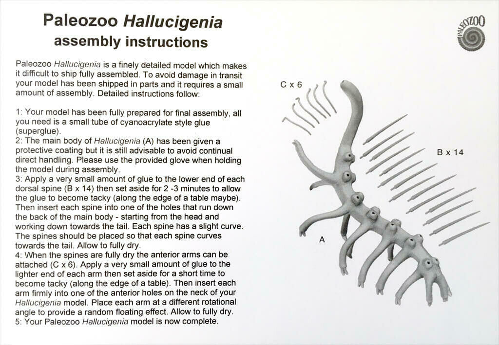 Hallucigenia Model