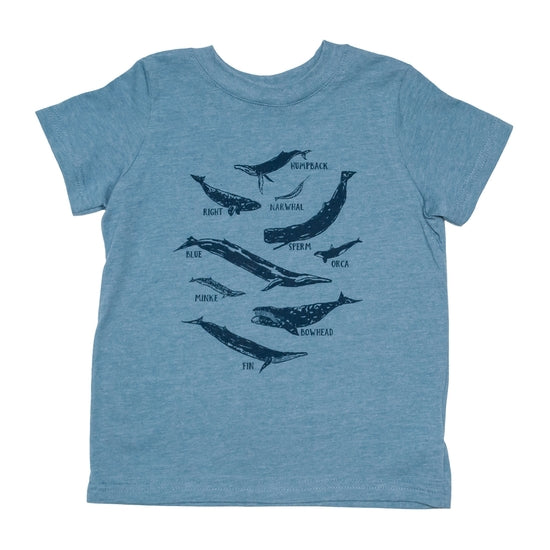 Tableau des espèces de baleines T-shirts enfant