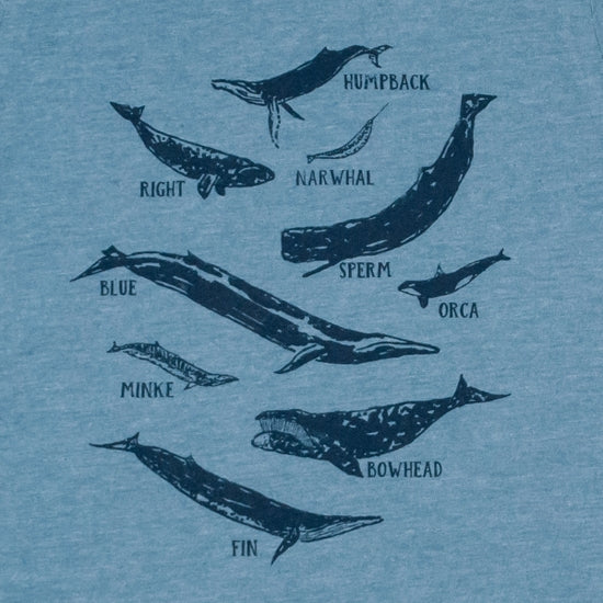 Tableau des espèces de baleines T-shirts enfant
