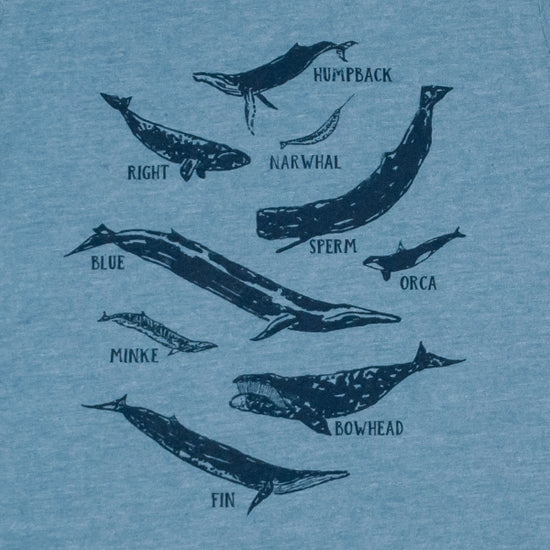 Whale Species Chart Toddler Tee