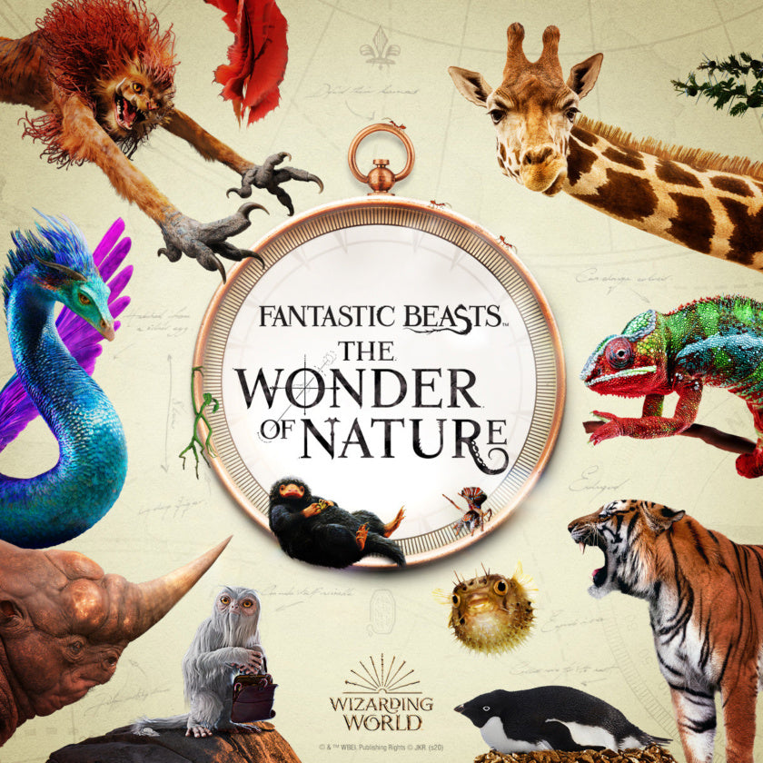 Fantastic Beasts™️: The Wonder of Nature Exhibition Poster