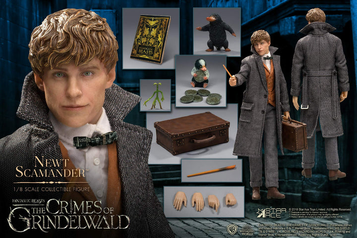 Newt Scamander™ Collectible Action Figure