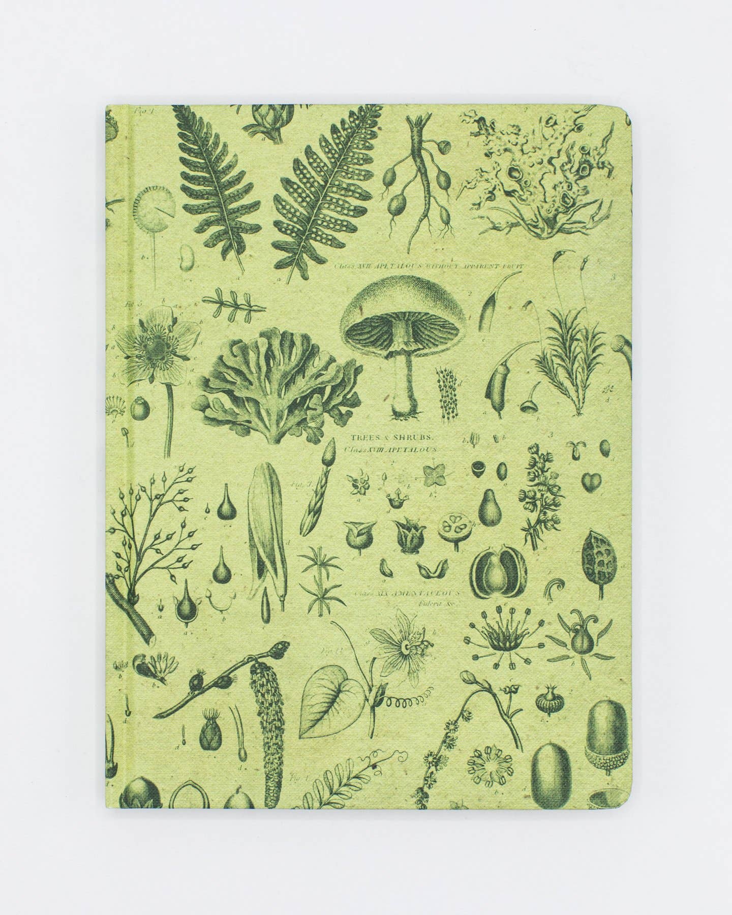 Cahier de notes ligné/grillé à couverture rigide sur les plantes et les champignons