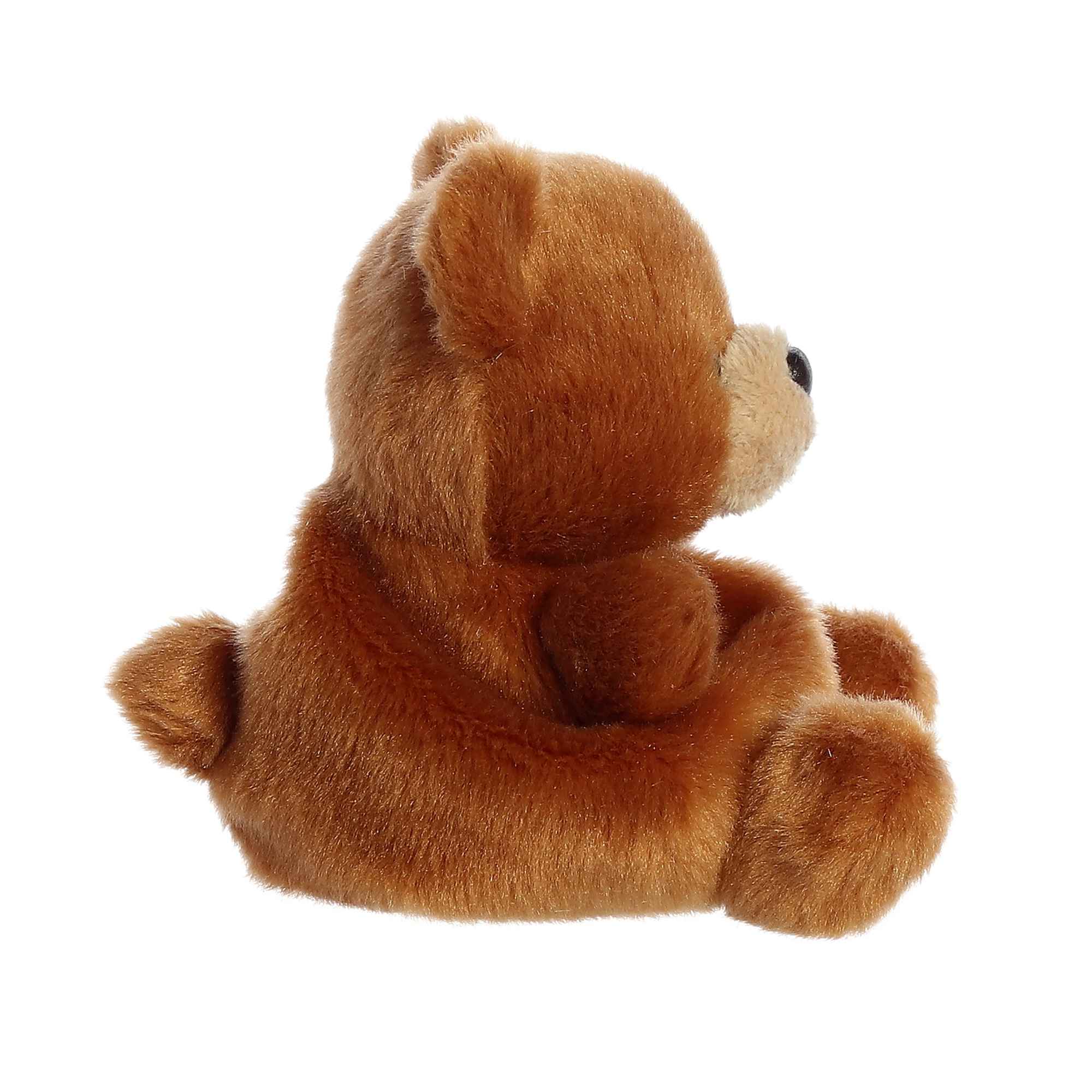 置物 Palm Angels bear boule de neige Palm Angels crystal-embellished Teddy Bear Hoodie | Black