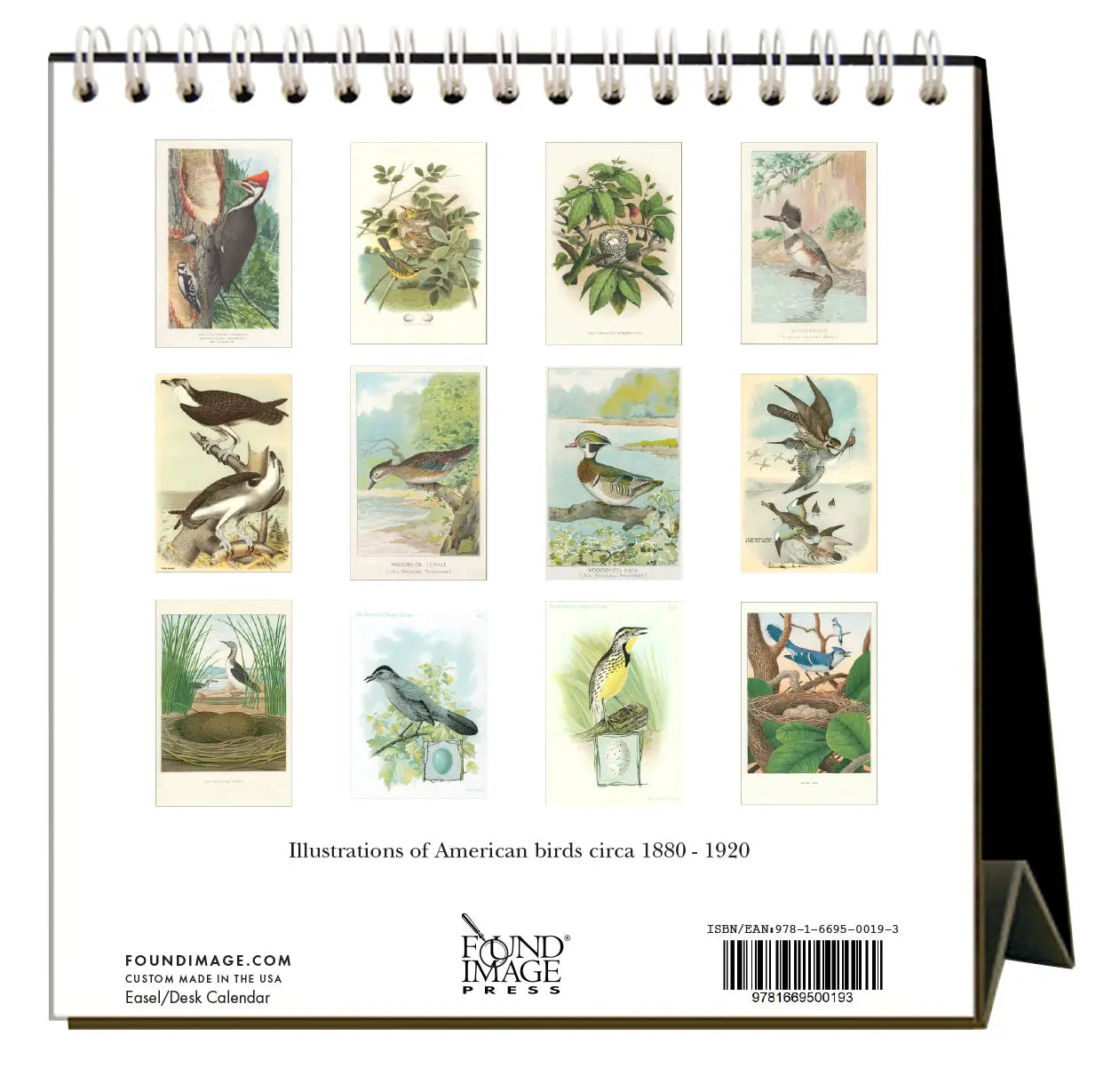Birds 2023 Desk Calendar