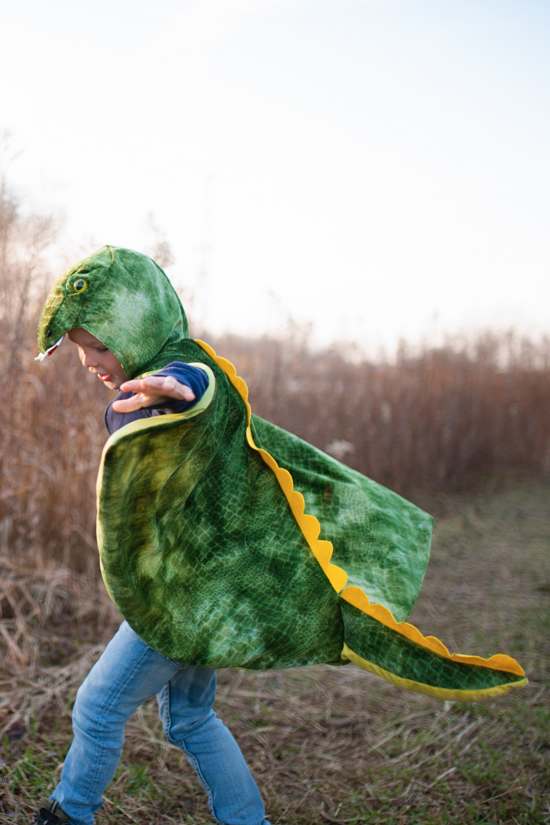 T-Rex Hooded Dinosaur Cape