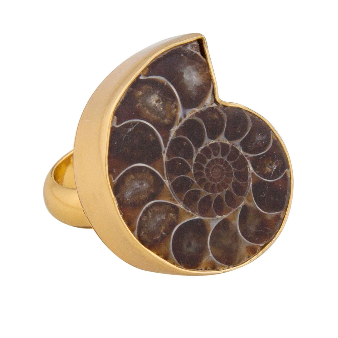 Bague Ajustable Ammonite Alchemia