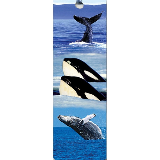 Marque page - Baleines à pampilles
