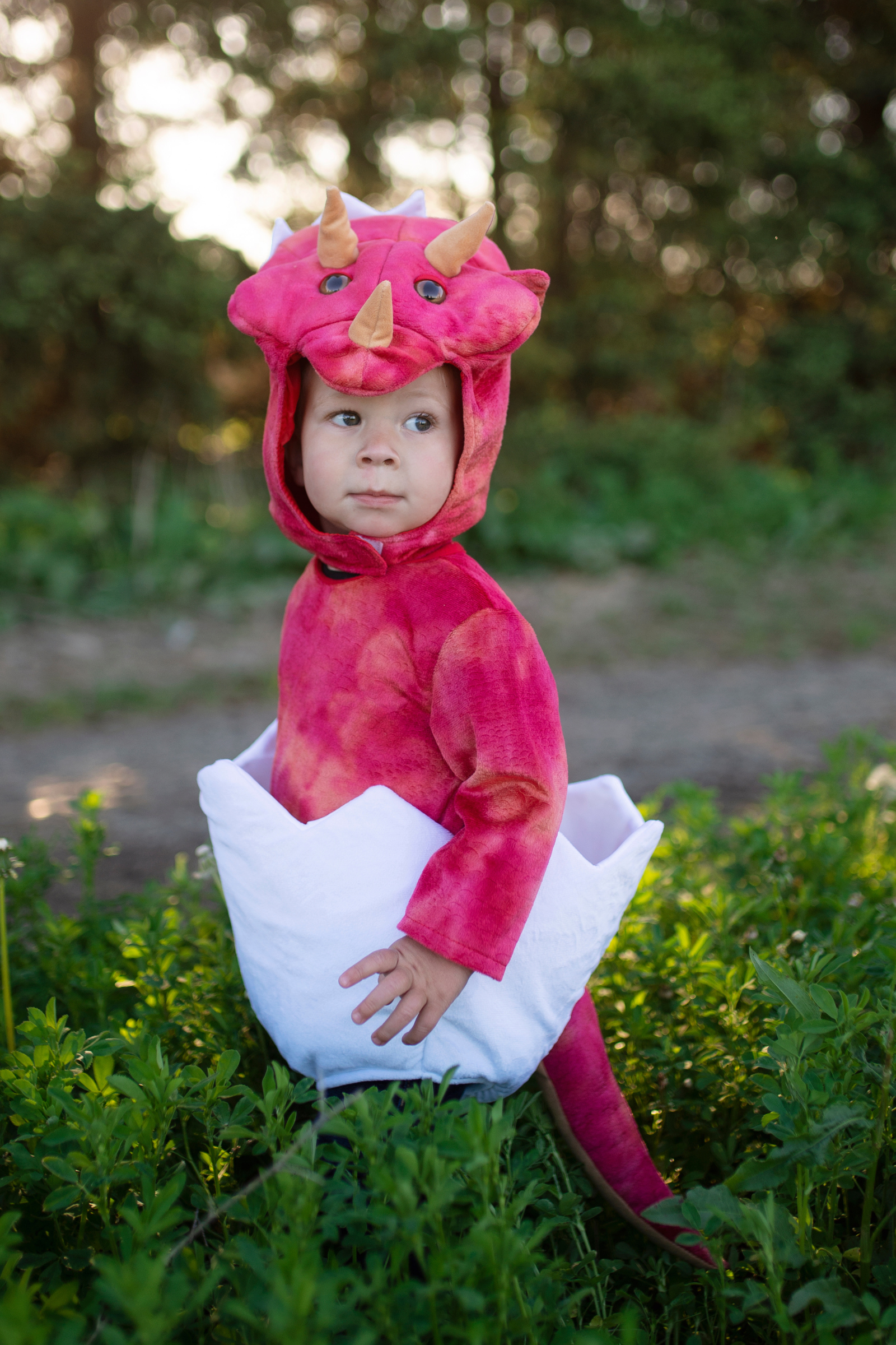Dinosaur hot sale boutique outfit