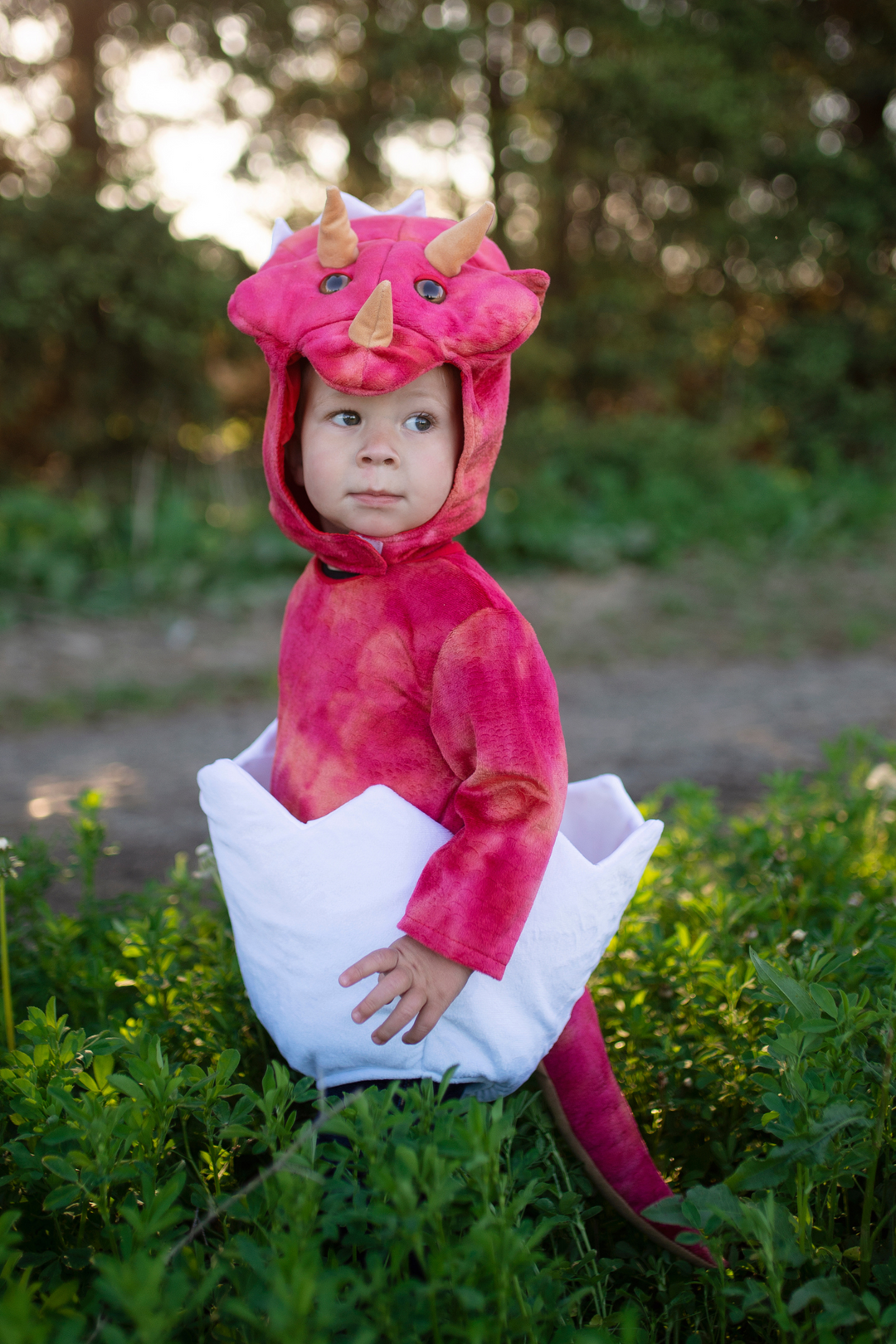 Baby Dino Triceratops Set