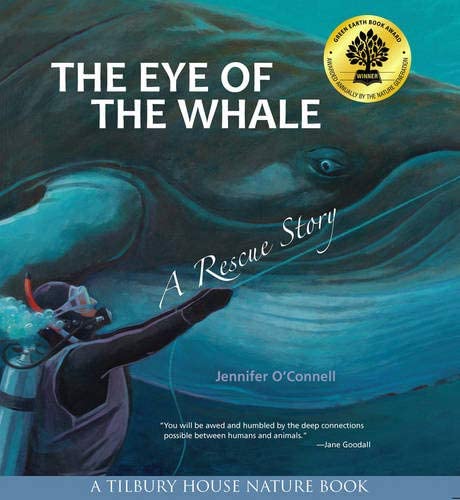 L'oeil de la baleine