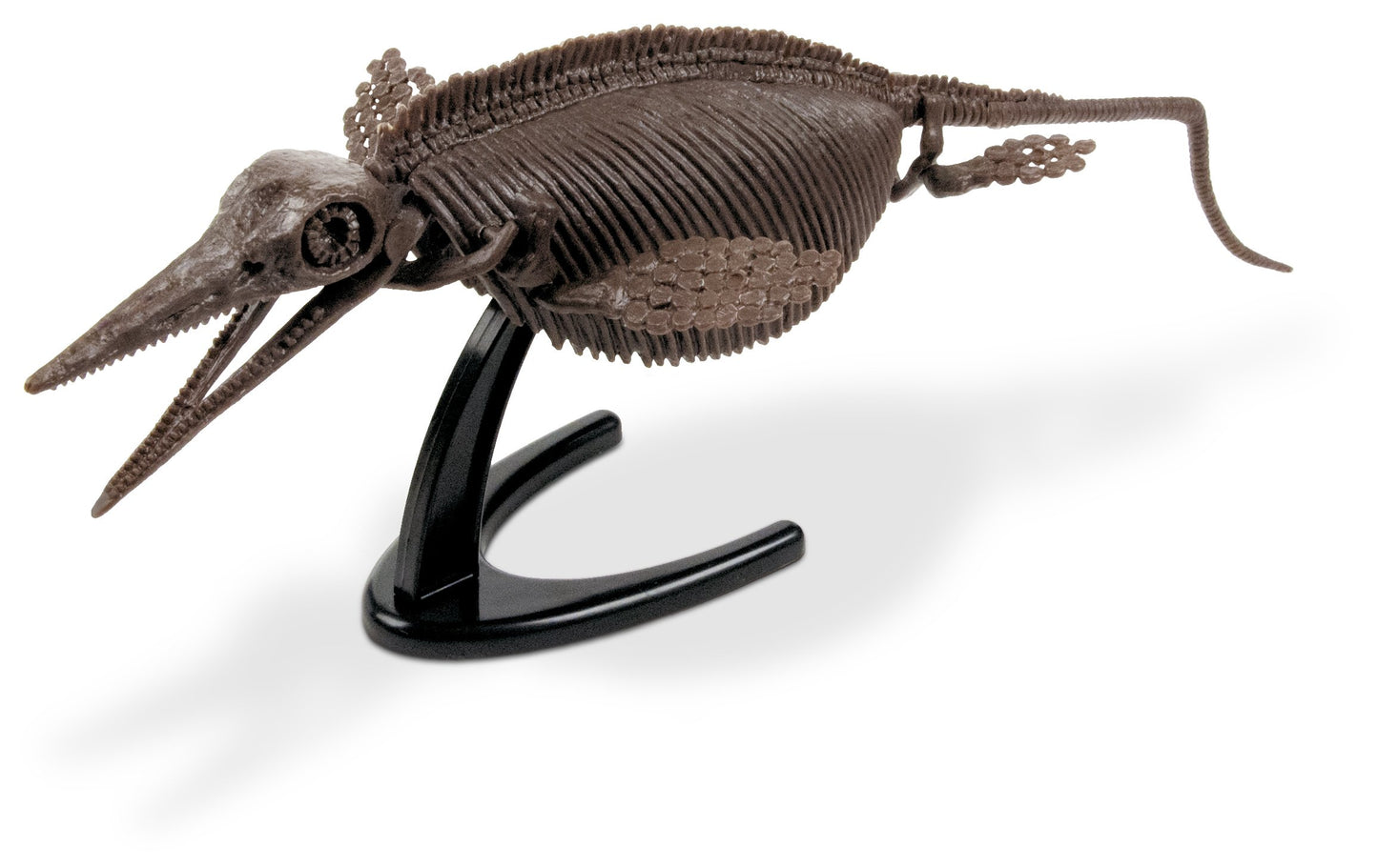 Ichthyosaurus Excavation Kit