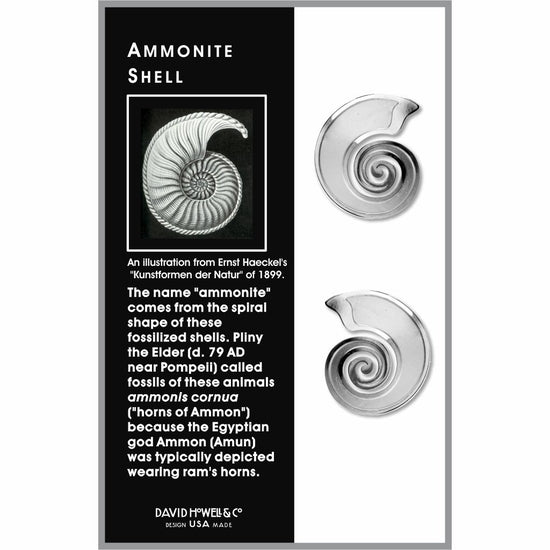 Coquille d'ammonite - Boucles d'oreilles en émail chromé