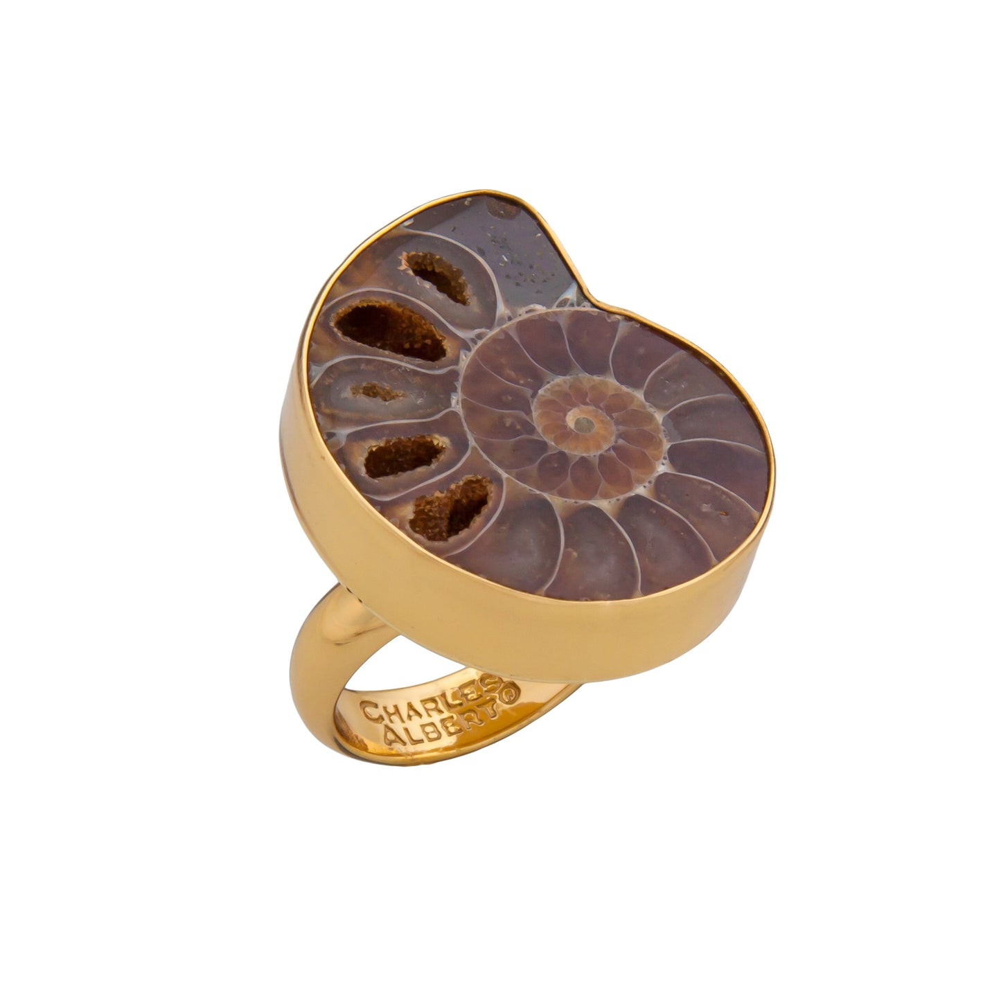 Alchemia Ammonite Adjustable Ring