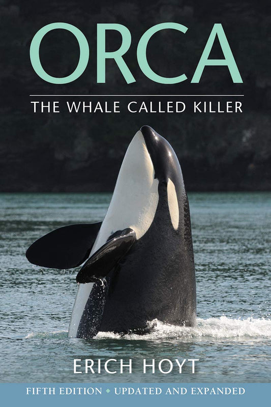 Orca, la baleine appelée tueur