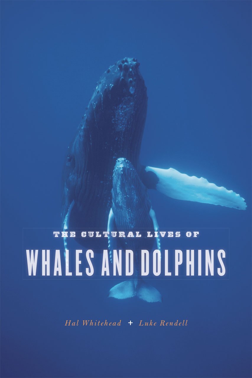La vie culturelle des baleines et des dauphins