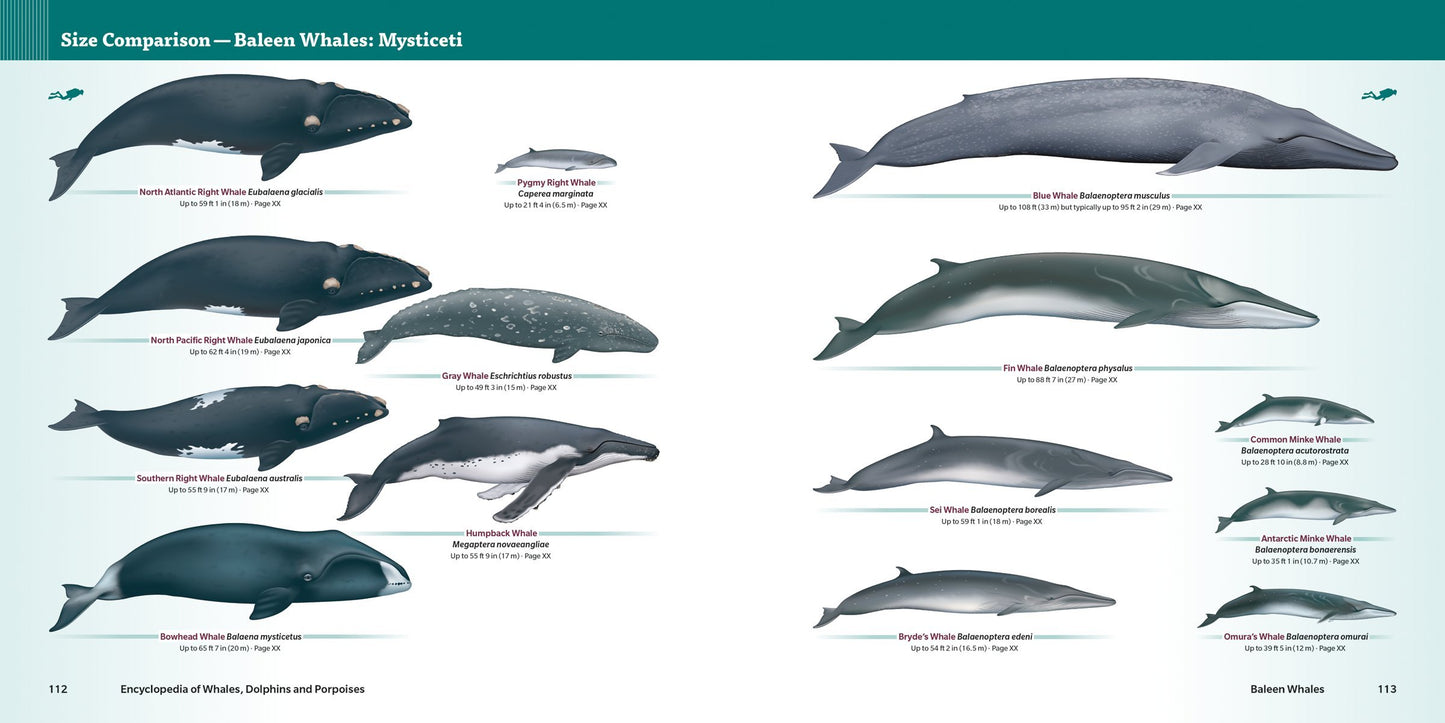 Encyclopedia of Whales-Dolphins-Porpoises