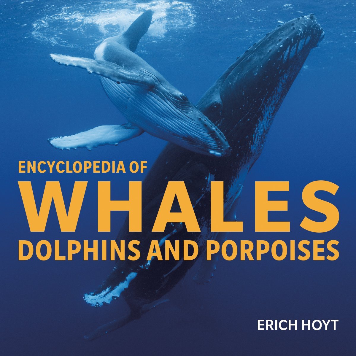 Encyclopedia of Whales-Dolphins-Porpoises