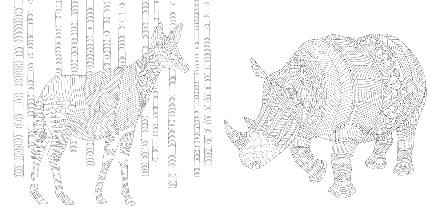 Brilliant Beasts Colouring Book