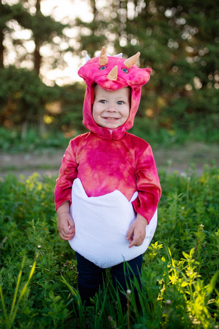 Ensemble Bébé Dino Triceratops