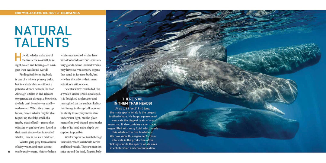 Baleines (Explorer le monde des)