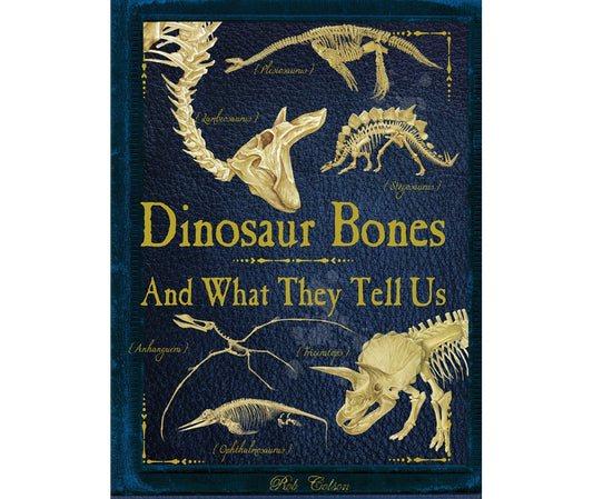 Les os de dinosaures et ce qu'ils nous disent