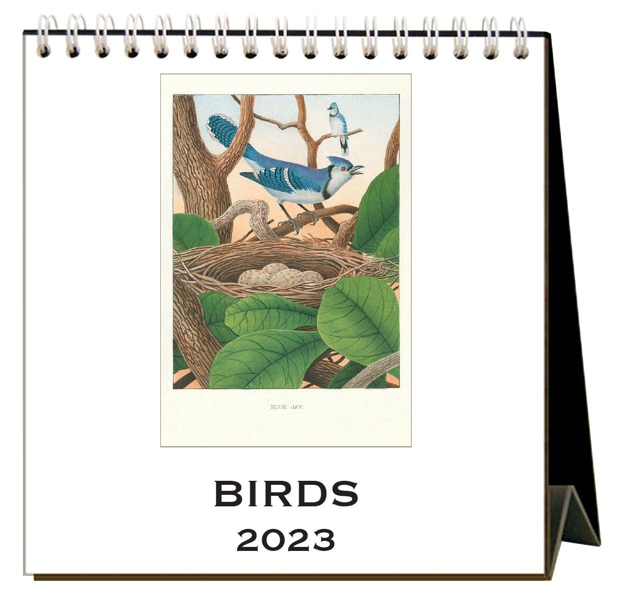 Calendrier de bureau Oiseaux 2023