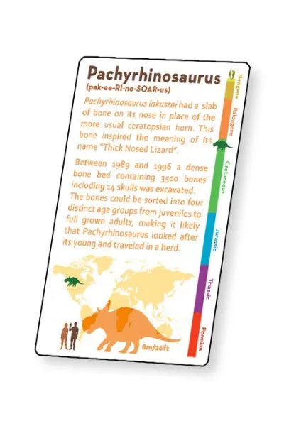3D Lenticular Dinosaur Fact Cards - Blue