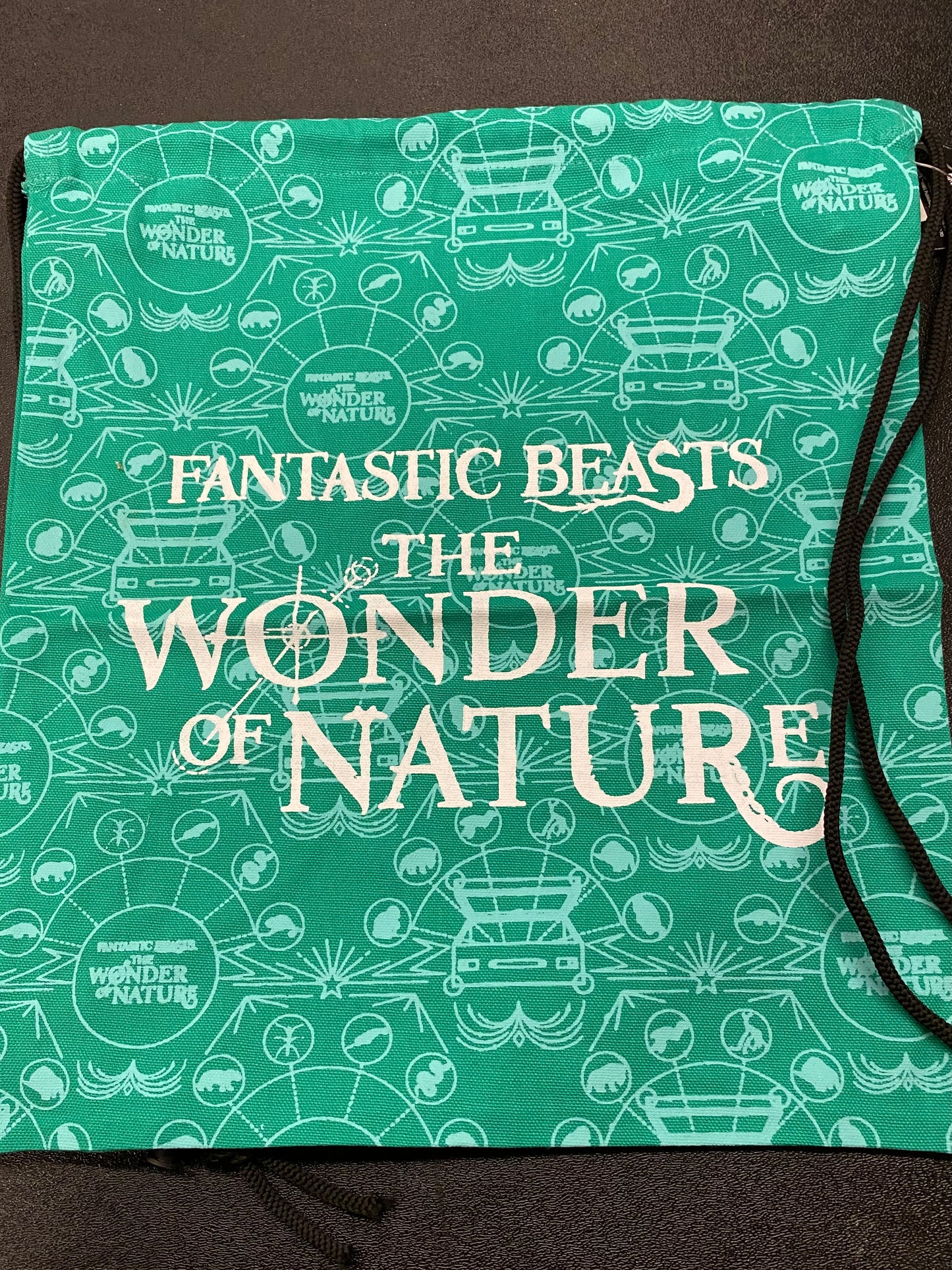 Fantastic Beasts™: The Wonder of Nature Drawstring Bag