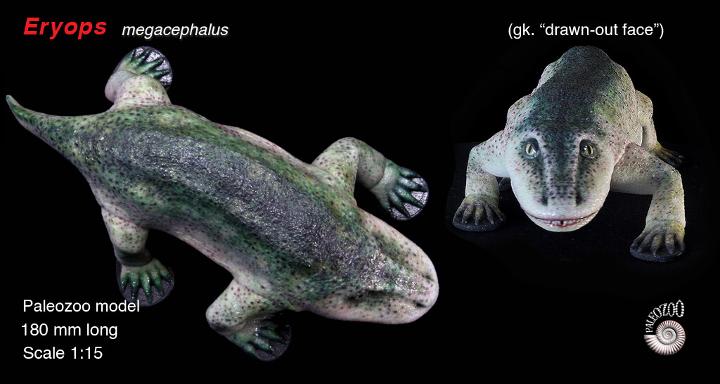 Eryops Model