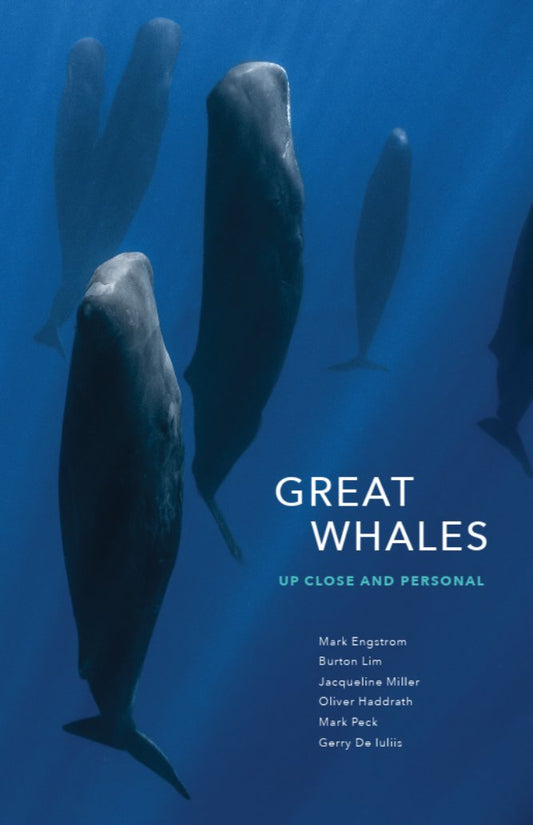 Great Whales: Up Close and Personal, Exhibit Guide