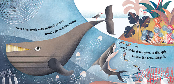 Home for a Penguin, Home for a Whale