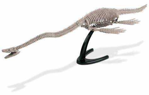 Sea Monsters Excavation Kit - Elasmosaurus Skeleton