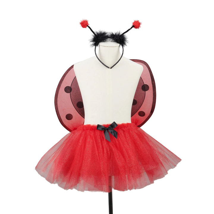 Ensemble de 3 coccinelles