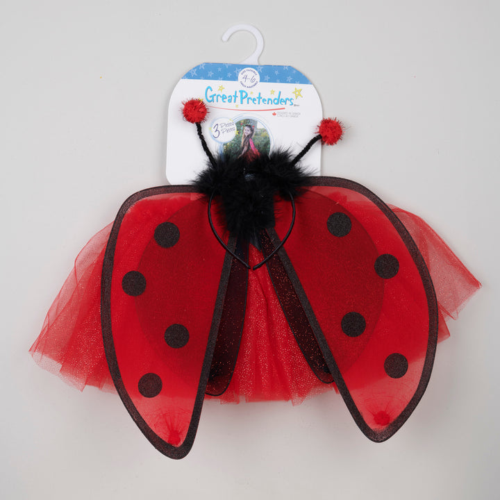 Ensemble de 3 coccinelles