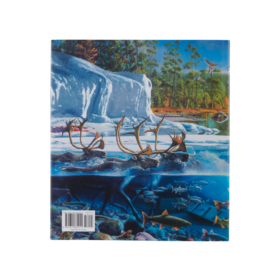A Rockman The Great Lakes Cycle