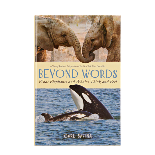 Beyond Words -  What Elephants and Whales Think and Feel