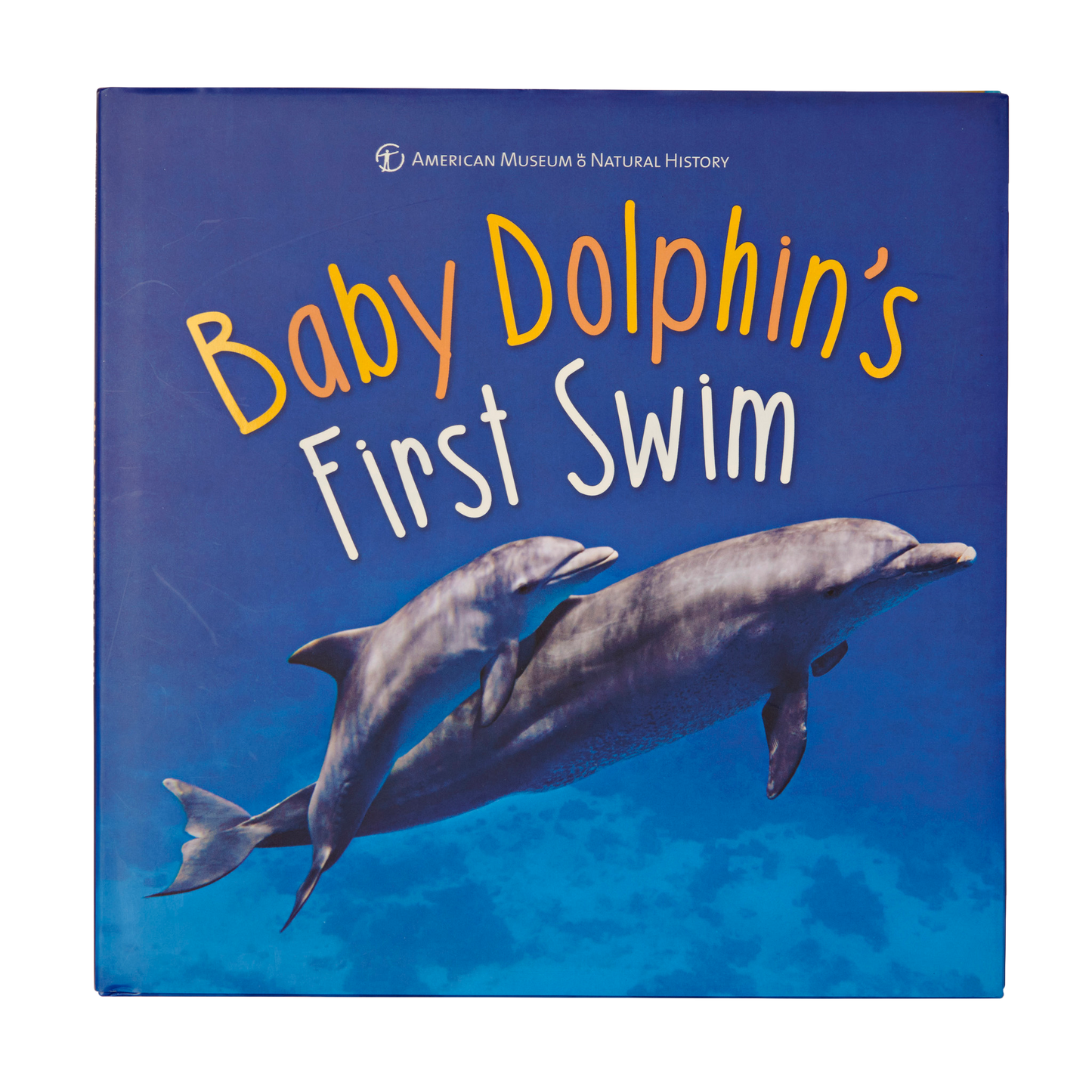 Le premier bain du bébé dauphin