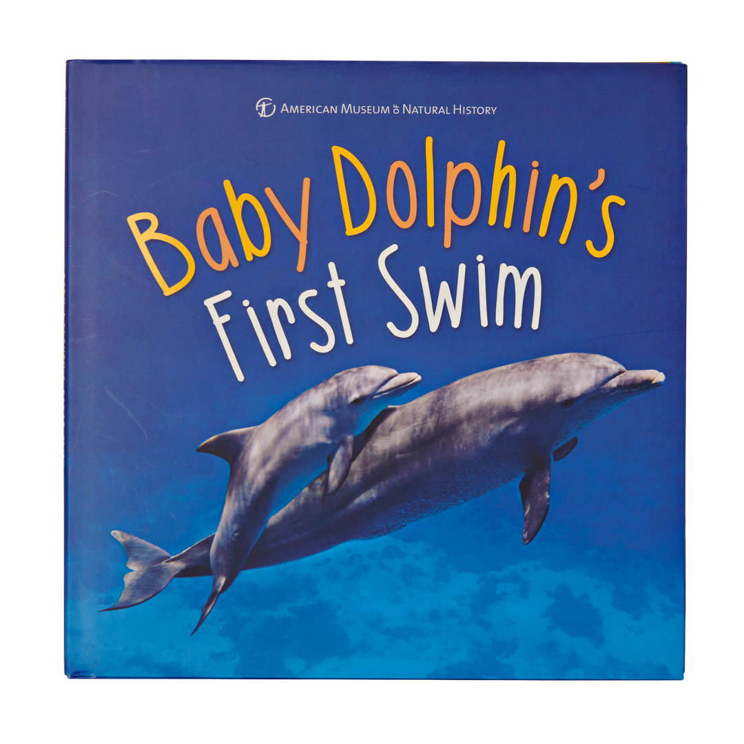 Baby Dolphin's First Swim