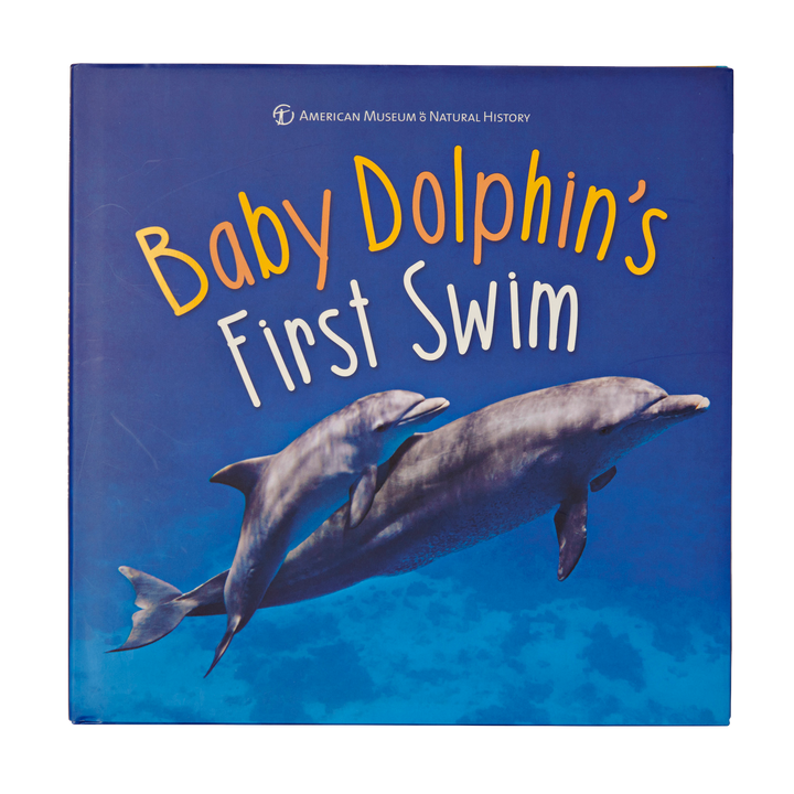 Baby Dolphin's First Swim