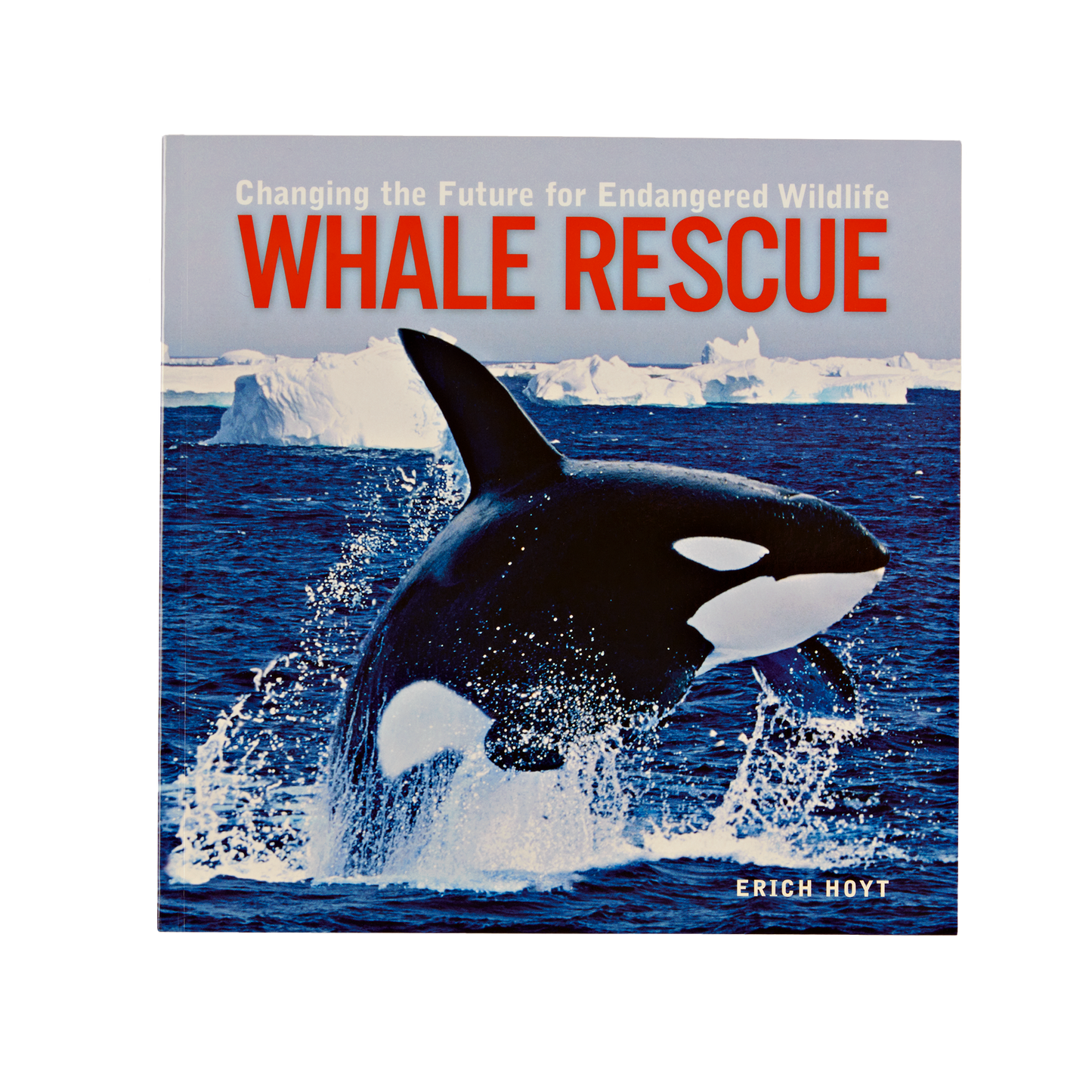 Sauvetage des baleines