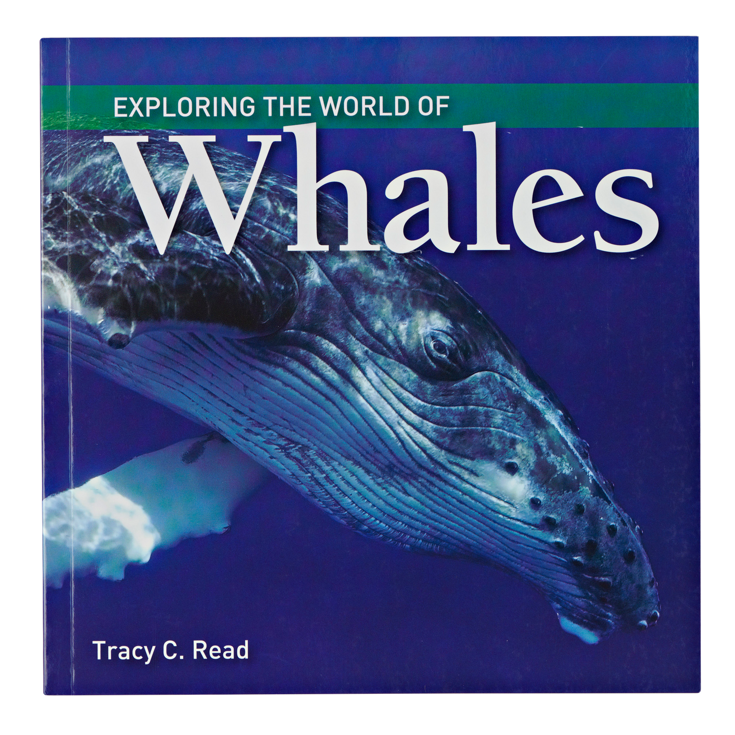 Whales (Exploring the World of)