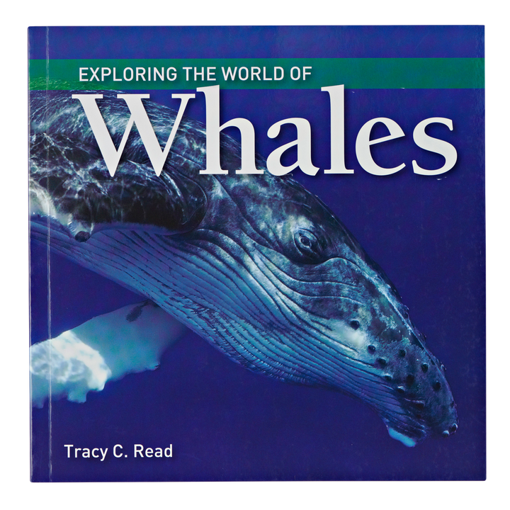 Whales (Exploring the World of)