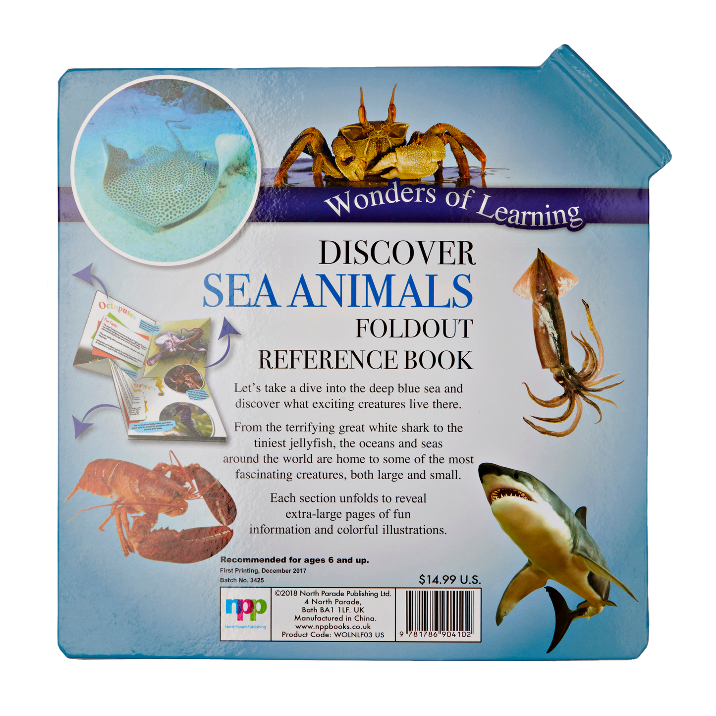 Découvrez le livre de référence dépliant des animaux marins (merveilles de l'apprentissage)