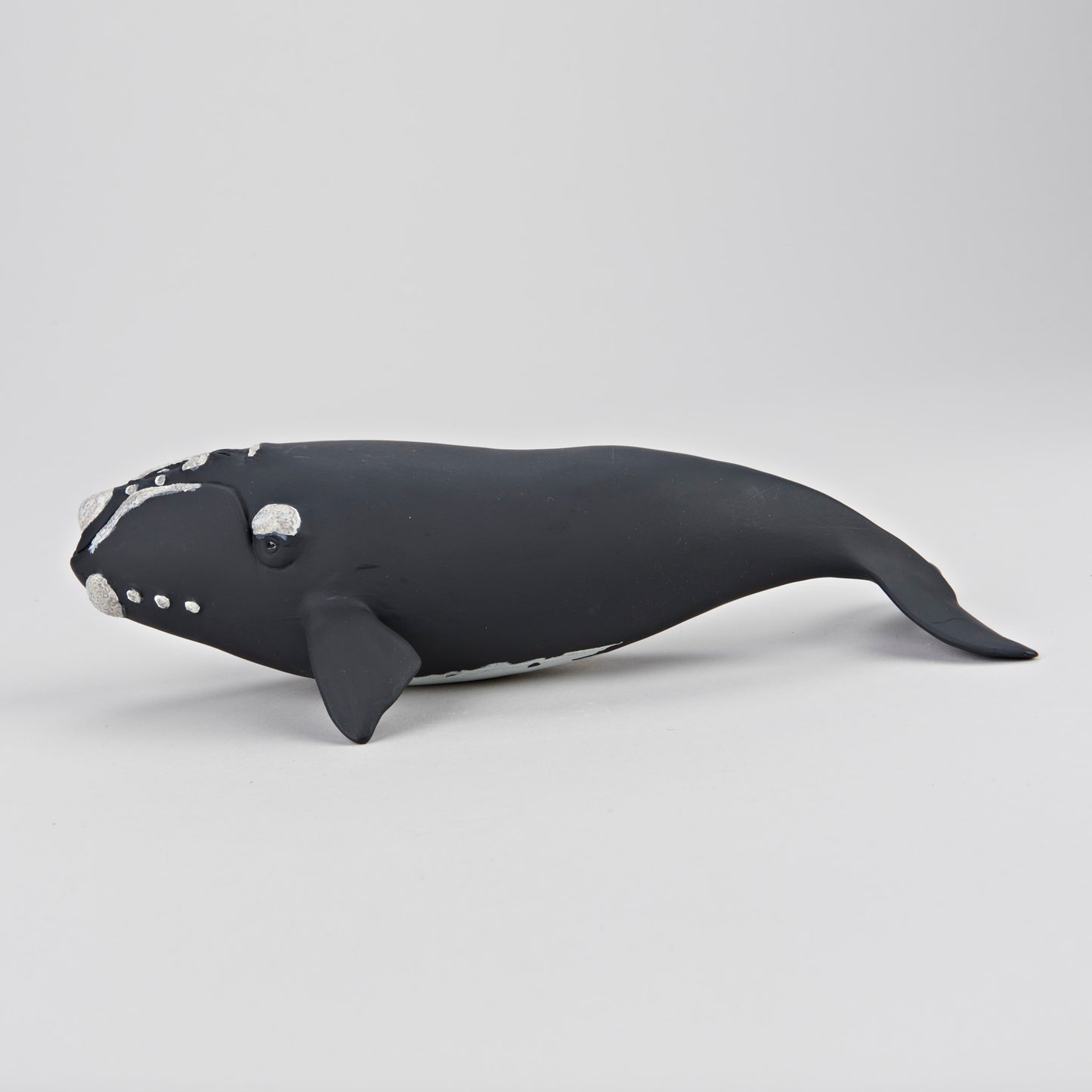 Figure - Right Whale