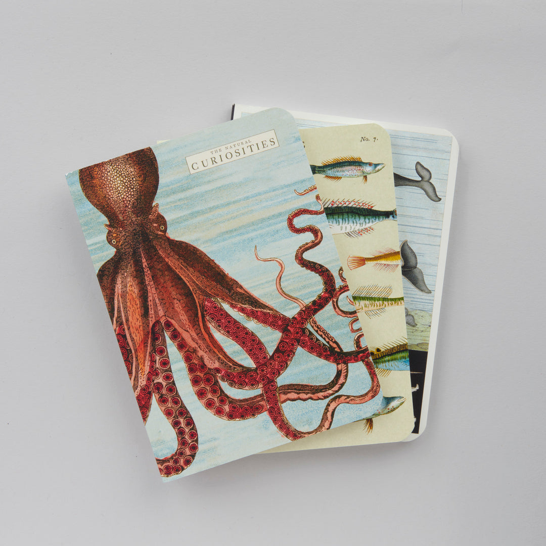 Sea Life - 3 Mini Carnets