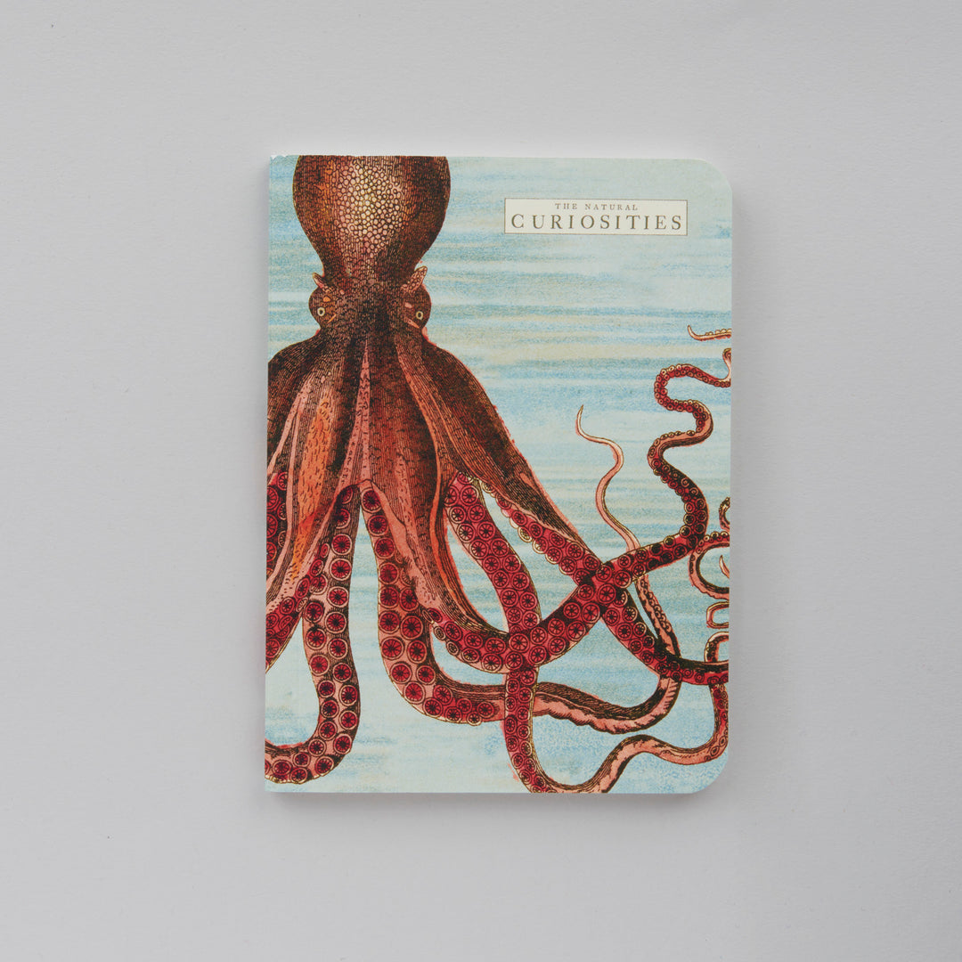 Sea Life - 3 Mini Carnets