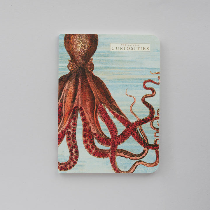 Sea Life - 3 Mini Notebooks