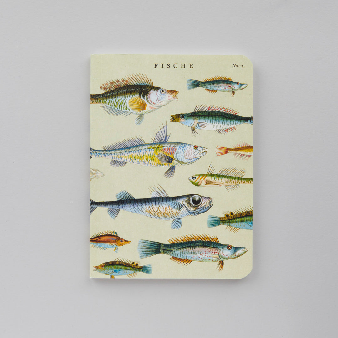 Sea Life - 3 Mini Carnets